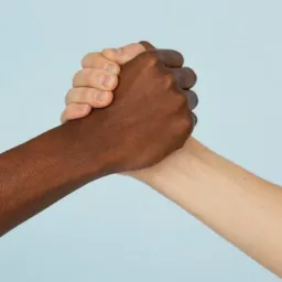 Troca e doaçso