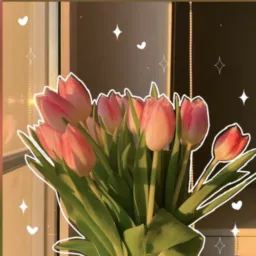🌷 Grupo para divulgação 🌷