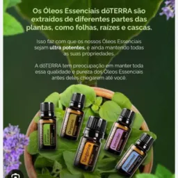 OLEOS ESSENCIAIS DŌTERRA 🍃