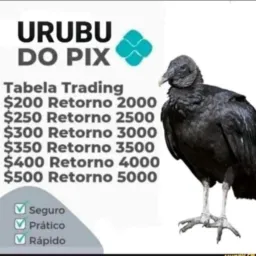 RD vendas e trocas Free Fire e Roblox