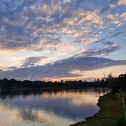 Cascavel - Vendas 🌃