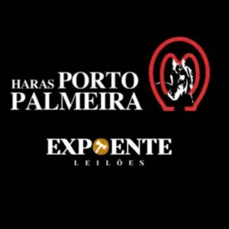 Tudo sobre as Oportunidades - Haras Porto Palmeira