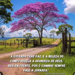 O Caminho para o Sucesso.