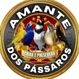 Pássaros vendas o troca Zona norte SP