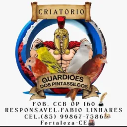 GUARDIÕES DOS PINTASSILGOS