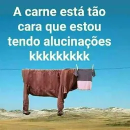 Mercado dos rolos ✌️