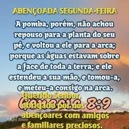 OS INTOCAVEIS