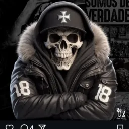 Esquadrão recuperador de moto de parceiro