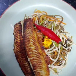 EXTRA E FIXO COZINHAS ES