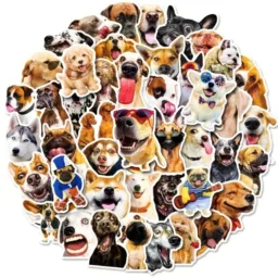 🐾🐾 TODOS OS PETS BRASIL 🐾🐾