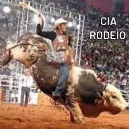 SAI DO MATO VEIACO