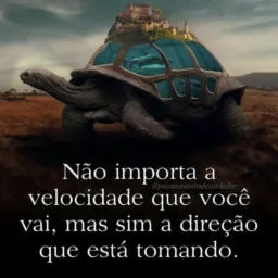 Portal notícias de Rosário 🤝