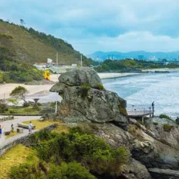 Rolo e vendas Itajaí.