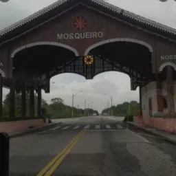 Olx mosqueiro