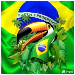 🇧🇷VENDA ORIXIMINÁ 2024