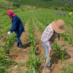 Divulgacao de empregos,sidrolandia e regiao