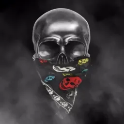 🎭 DIVULGAÇÕES 1 🎭