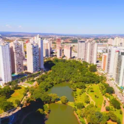 0200 Goiânia Conecta