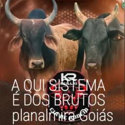 Grupão do peão sistema bruto de planalmira Goiás tem muito porre bruto 🤠🤙🤞🍺🍻💯