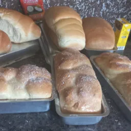 Pães caseiro da Lu 🍞