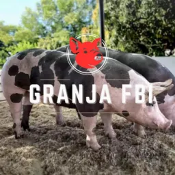 16°RIFA DA GRANJA FBI🐖