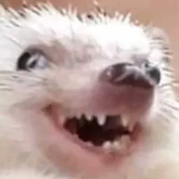 👽TE MENCIONEI NÉ? 👽