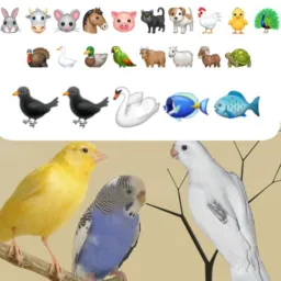 Animais em geral venda troca catira tudo Divinópolis MG