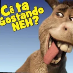 CÊ TÁ GOSTANDO?🇧🇷😎🔥🚀