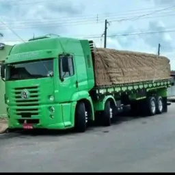Chofer de caminhão pelo amor a profissão não pô dinheiro ✌️👽👽💪✌️