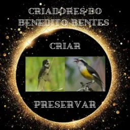 Sibiteiros do Benedito Bentes!!!