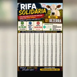 Rifa para arrecadar para uma cirurgia urgente