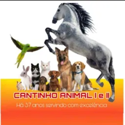 CANTINHO ANIMAL | NOVIDADES