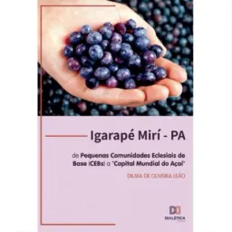 NOTÍCIAS IGARAPÉ MIRI