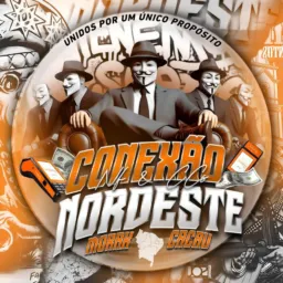 Conexão Nordeste👾