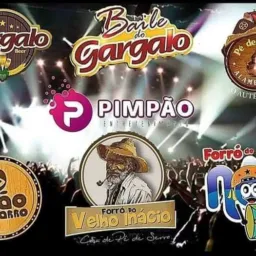 FORRÓ DE MANAUS🗣️🎥🎹🎤