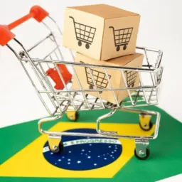 Negócios E-comerce Brasil