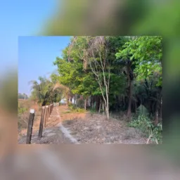 CHACREAMENTO RECANTO NOVA VIDA🌳