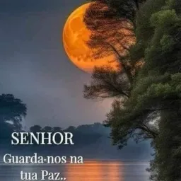 🚨FOFOCALIZANDO🚨