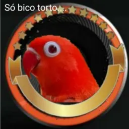 🦜 Só Bico Torto 🦜