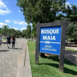 Desapego Região Maia - Guarulhos: Oportunidades e Negociações
