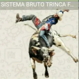 SISTEMA BRUTO TRINCA FERRO🐂🐕🐎