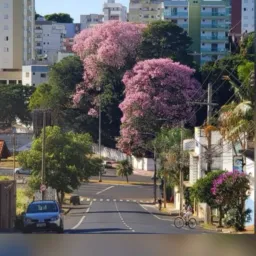 De olho na blitz em Uberlândia2👀