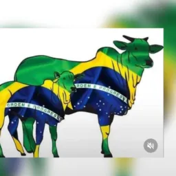 🐮AGRONEGÓCIO SÓ  GOIÁS 🌽
