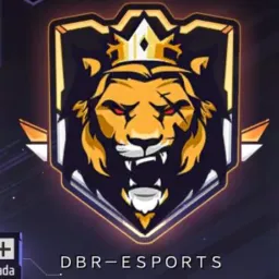 🦁 Recrutamento DBR ESPORTS🦁