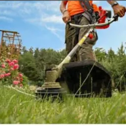 Grupo de trabalho e vendas de Curralinho