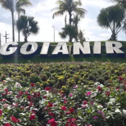 *Goiânira compras e vendas e propagandas*