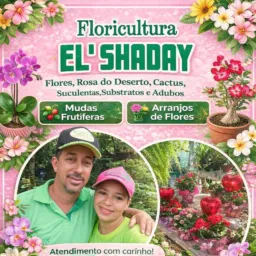 🌷VIVEIRO E'LSHADAY ARUANA🌷