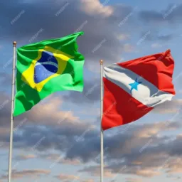 Anapu informações e vendas