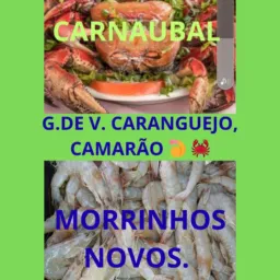 G. DE V. MORRINHOS E CARNAUBAL.