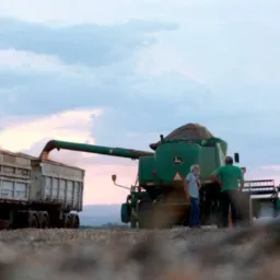 Fretes safra 2026 Catalão e região 🌱🌻🌾🌽🚛🚛